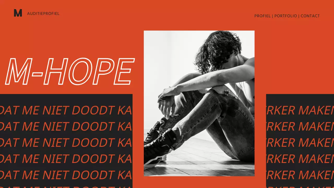 Entertainment portfolio