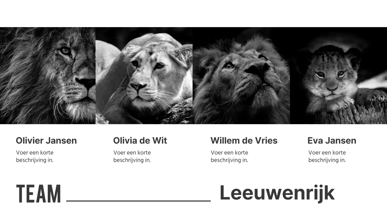 Zwart-wit presentaties