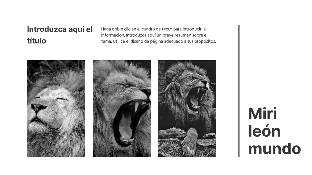 Presentaciones en blanco y negro