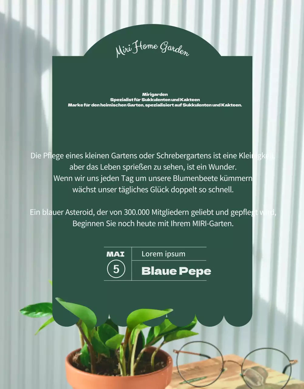 Ein Geschäft, das sich auf grüne und bezaubernde Sukkulenten spezialisiert hat (mehr)