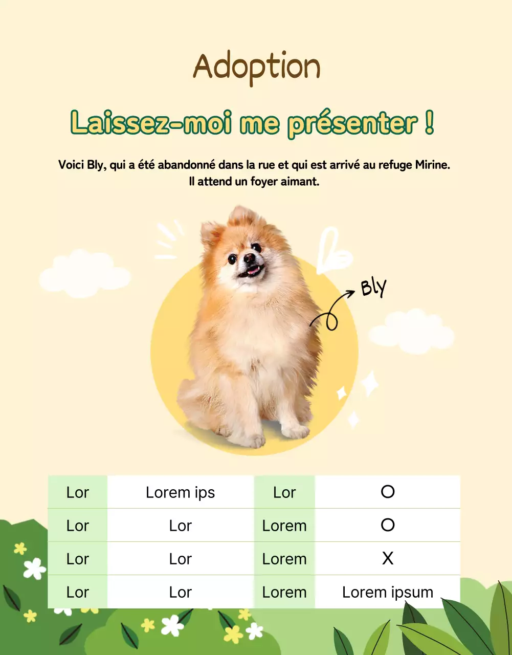 Page verte et jaune sur les détails de l'adoption d'un animal de compagnie