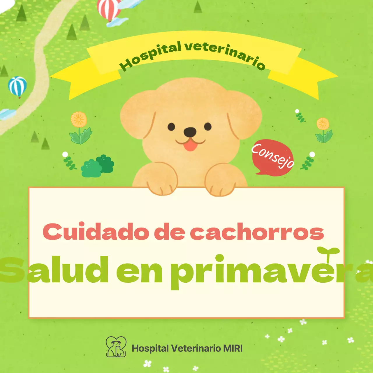 Consejos de salud primaverales para cachorros de colores pastel
