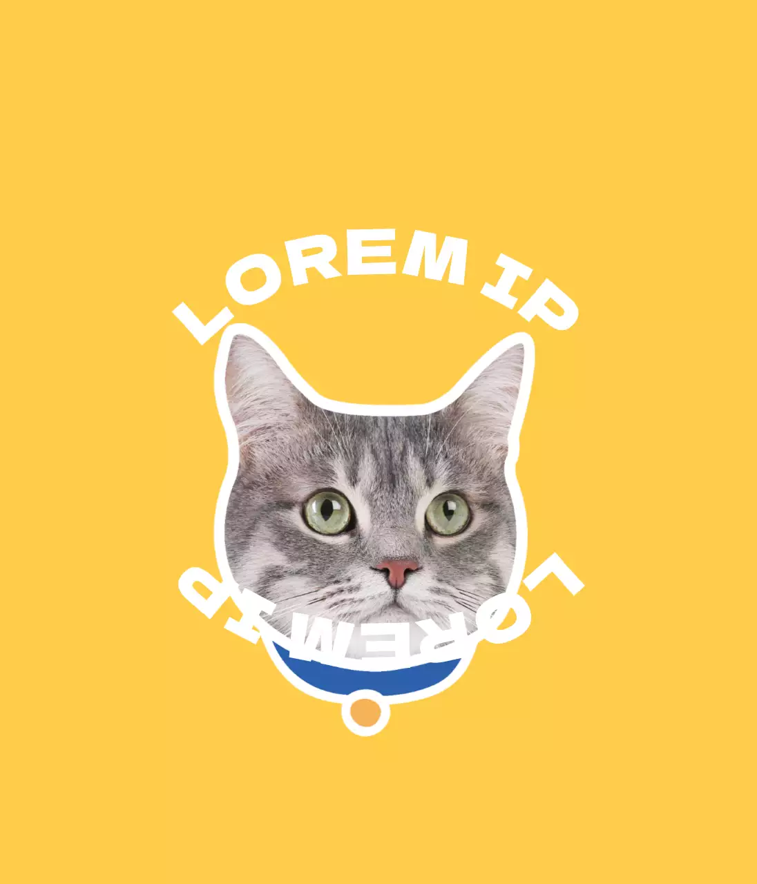 Fotografia de gato amarelo Animais de estimação