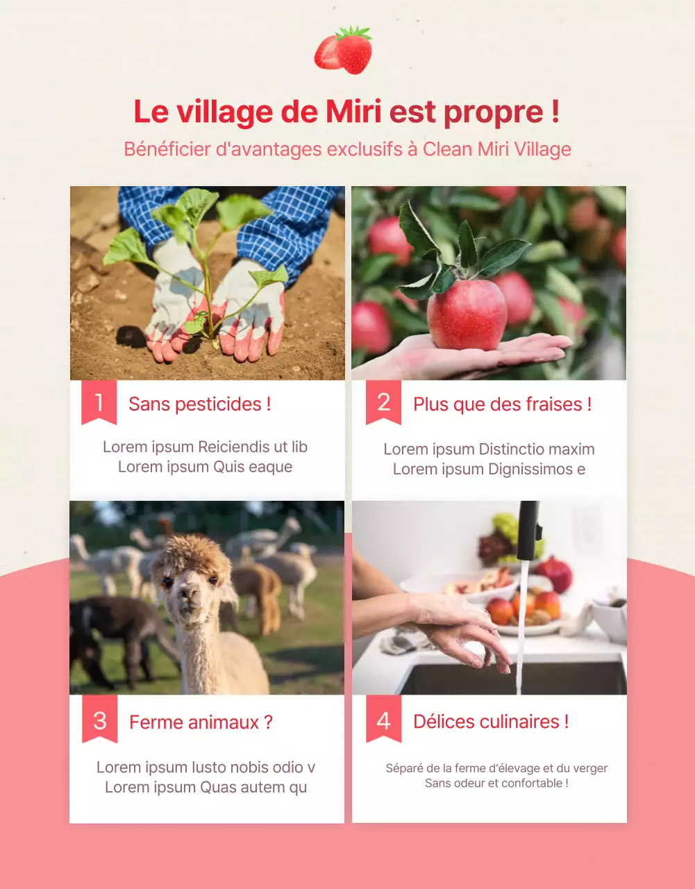 Détails de l'expérience de la ferme de fraises illustrée en rose