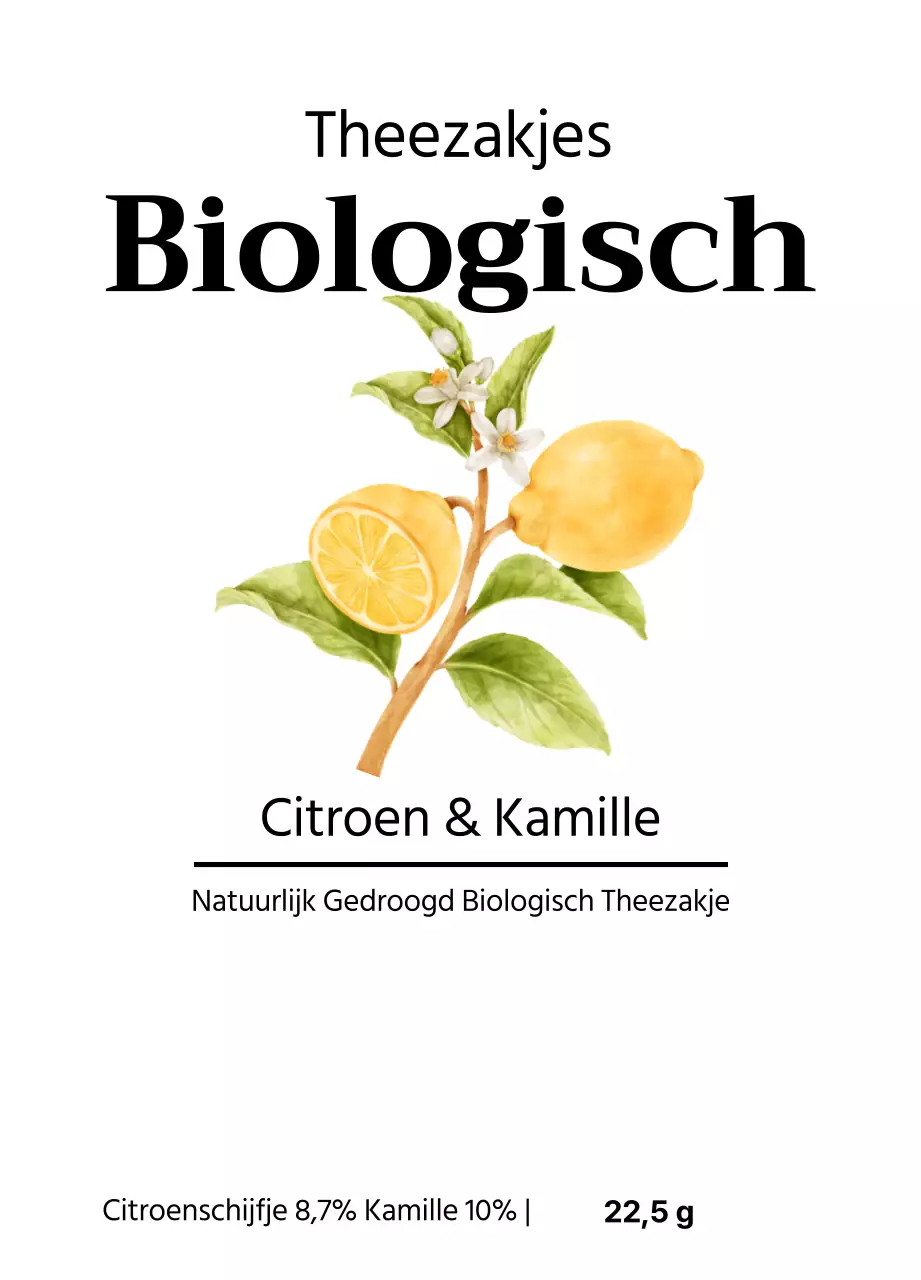 Biologische vruchtentheezakjes met aquarel fruitillustraties