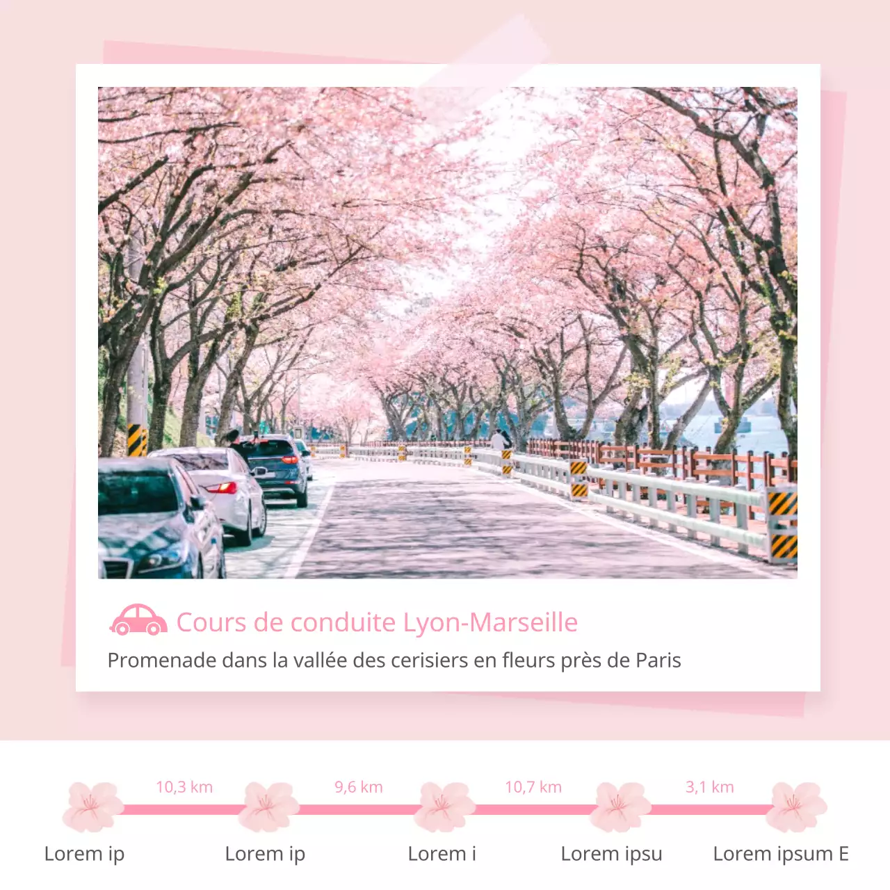 Cours de conduite sur le thème du printemps rose et de la saison des cerisiers en fleurs