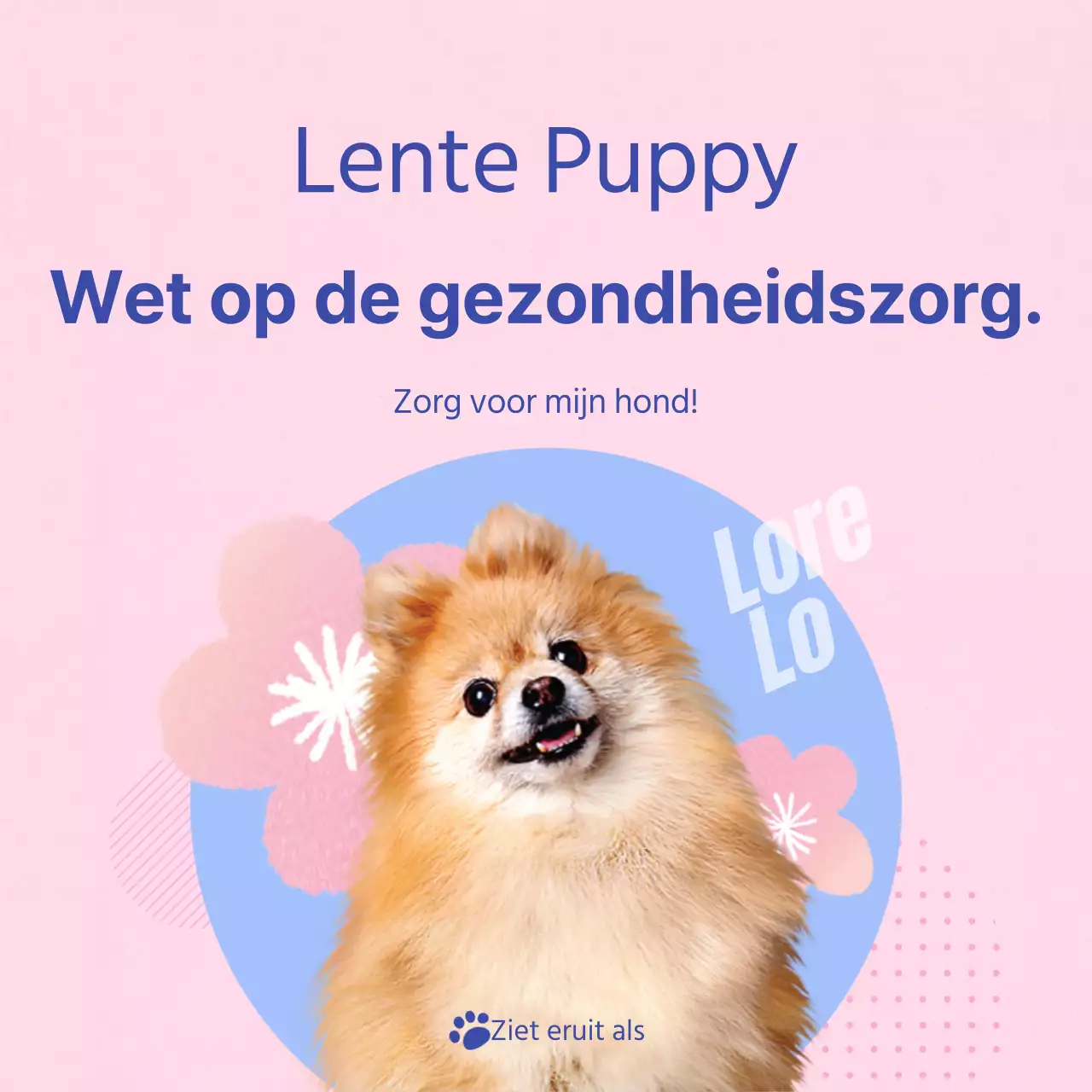 Een gids voor de verzorging van je roze en lichtblauwe puppy
