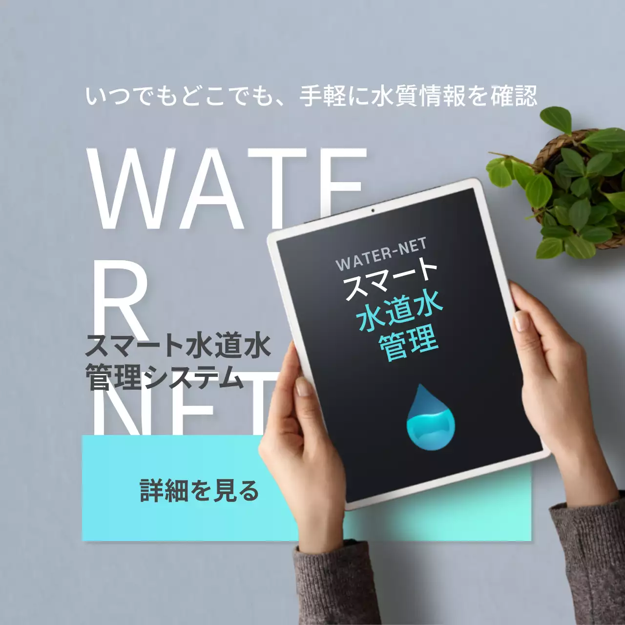 水色 シンプル 水 プラン Instagram投稿