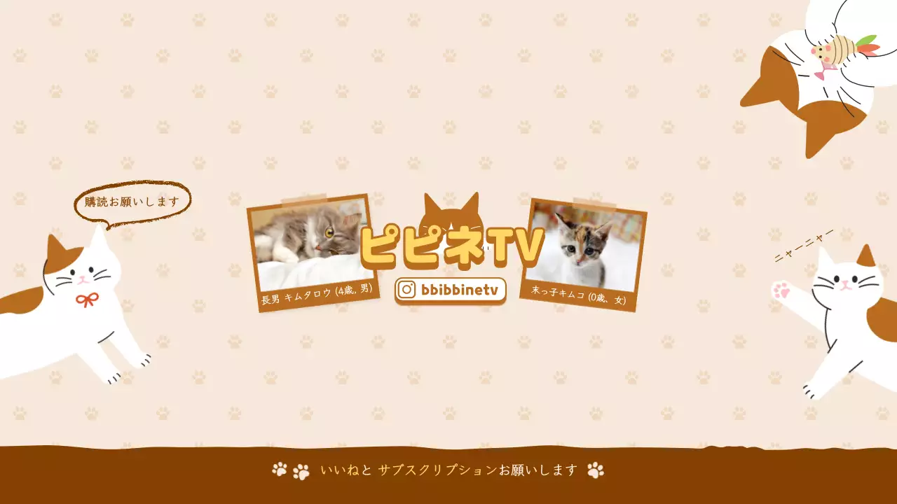 ベージュ かわいい 猫 チャンネル YouTube サムネイル