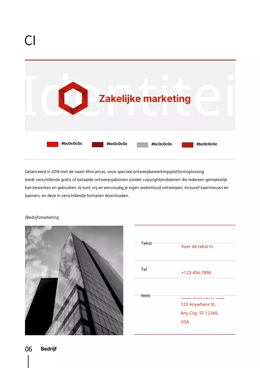 Sjabloon voor verticaal document met op rood en zwart geïnspireerd zakelijk profiel