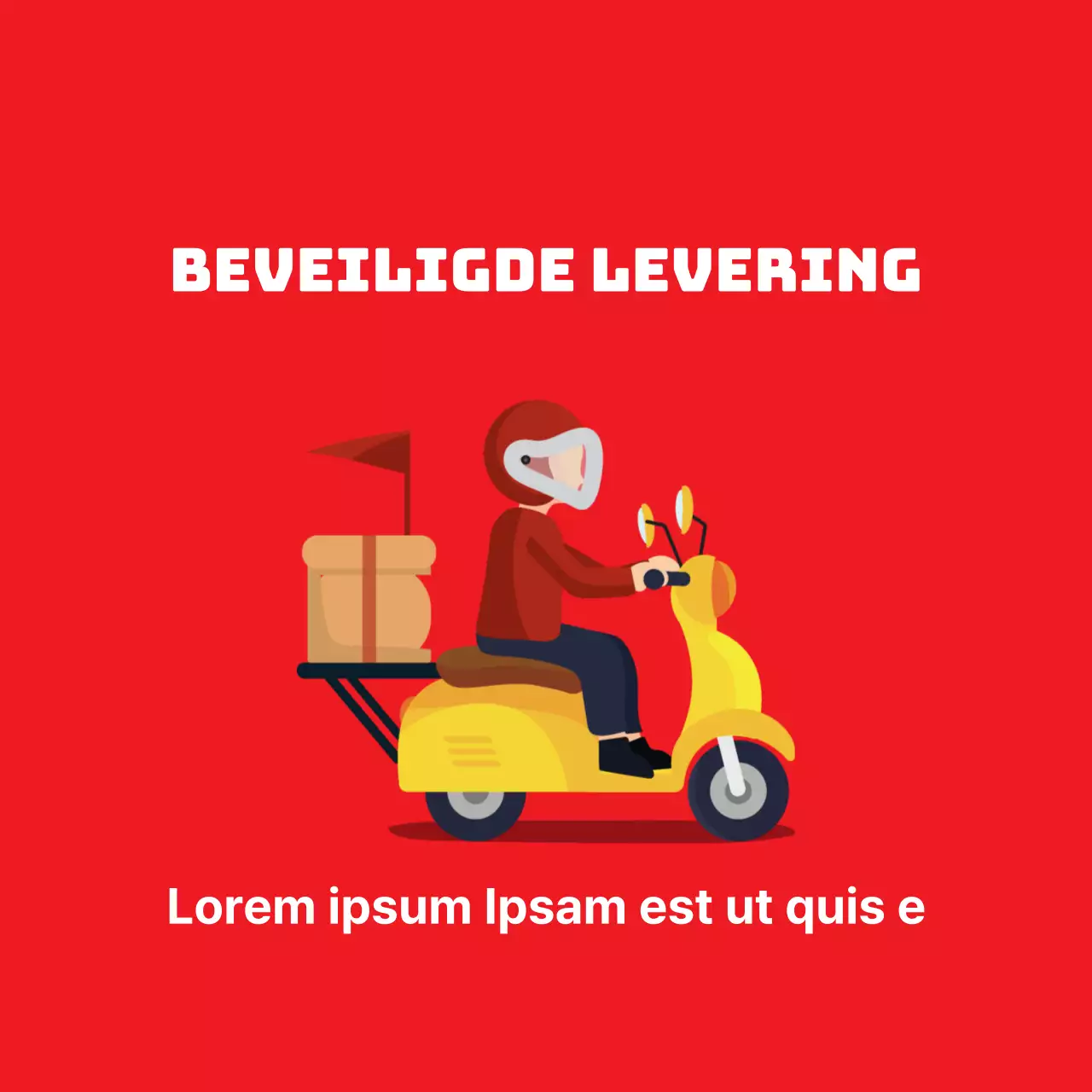 45195/Veiligde levering