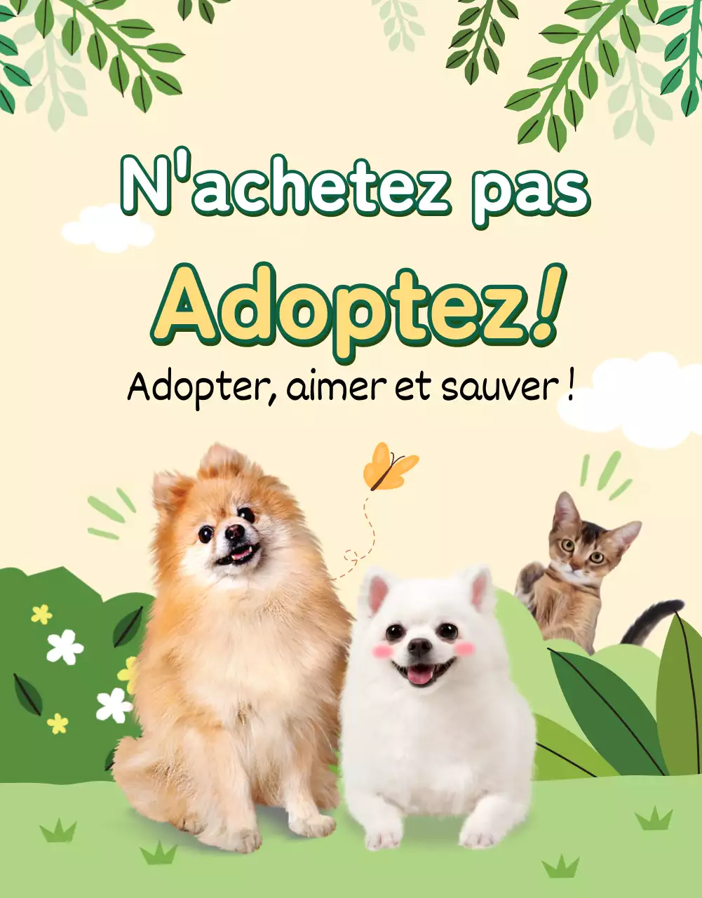 Page verte et jaune sur les détails de l'adoption d'un animal de compagnie
