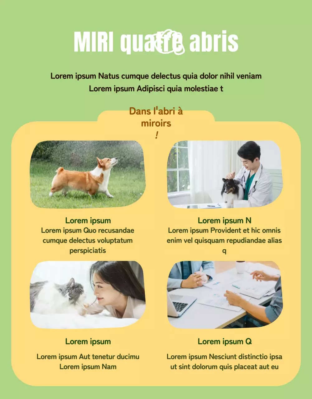 Page verte et jaune sur les détails de l'adoption d'un animal de compagnie