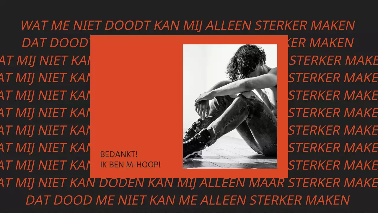 Entertainment portfolio