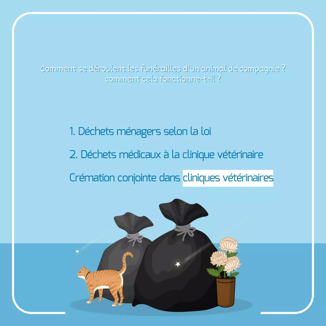 L'histoire de Petros avec de jolies illustrations bleues