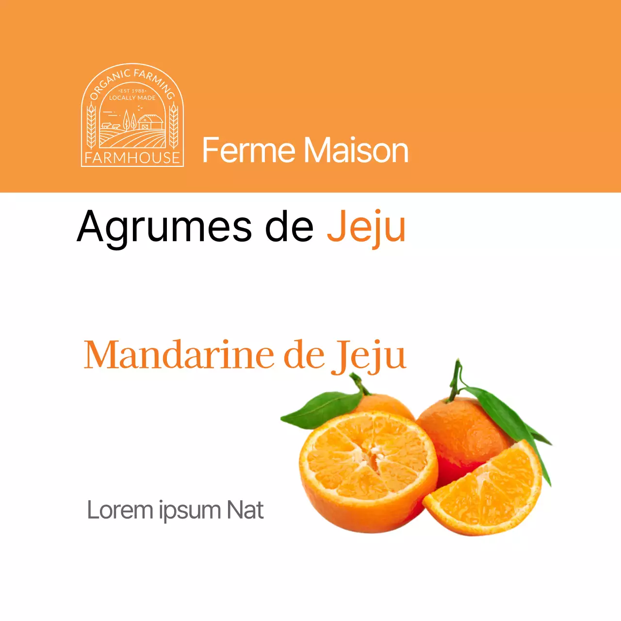 Autocollant pour étiquette d'agrumes Orange Simple Jeju