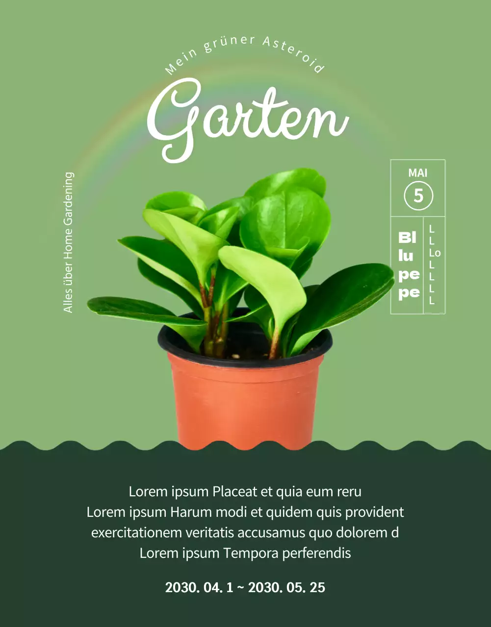 Ein Geschäft, das sich auf grüne und bezaubernde Sukkulenten spezialisiert hat (mehr)