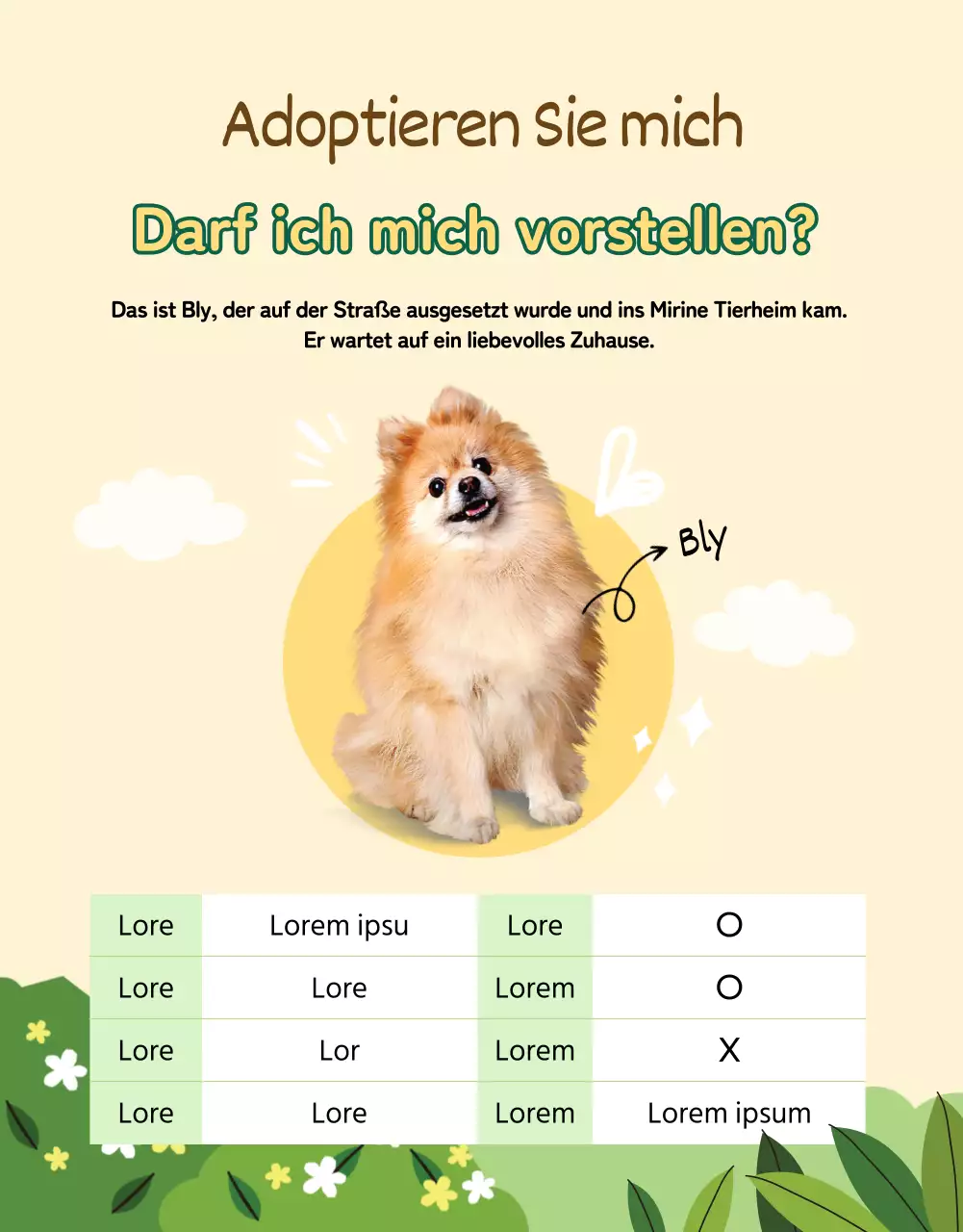 Grüne und gelbe Seite mit Details zur Tieradoption