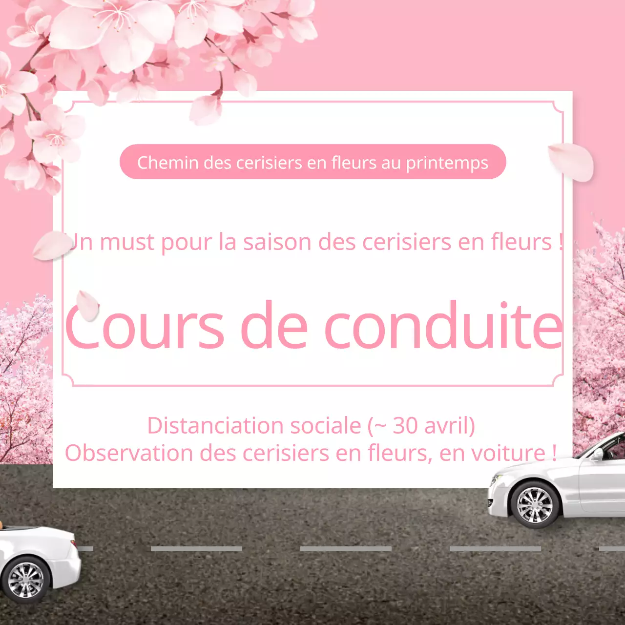 Cours de conduite sur le thème du printemps rose et de la saison des cerisiers en fleurs