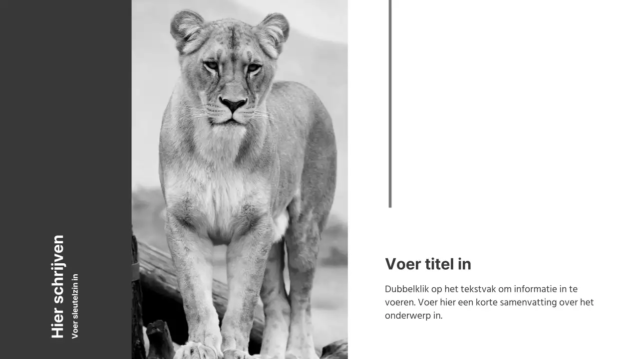 Zwart-wit presentaties