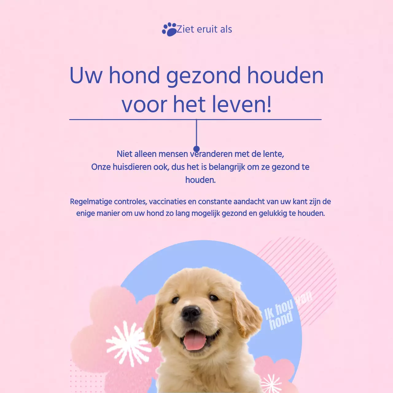 Een gids voor de verzorging van je roze en lichtblauwe puppy