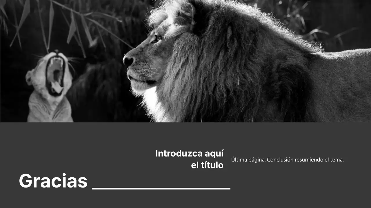 Presentaciones en blanco y negro