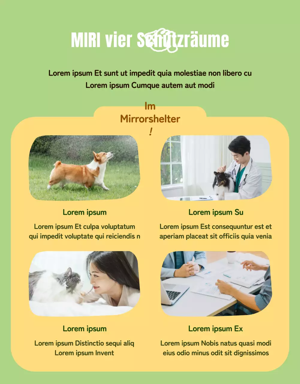 Grüne und gelbe Seite mit Details zur Tieradoption