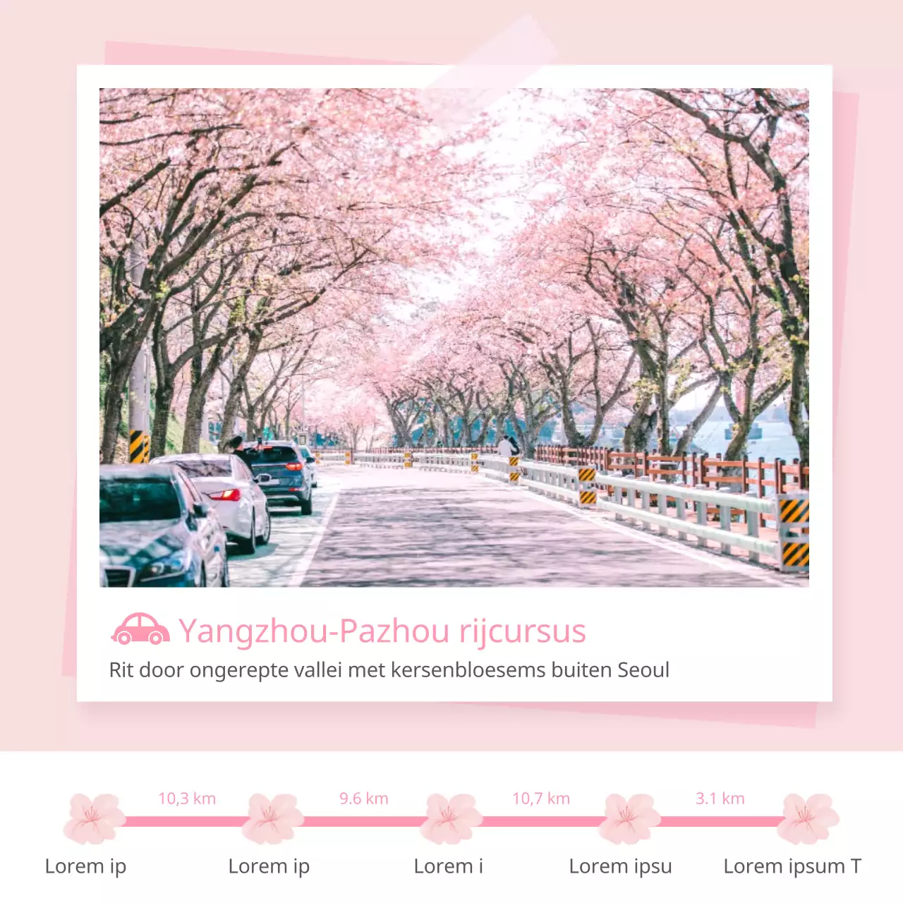 Rijcursus kersenbloesem met roze lentethema