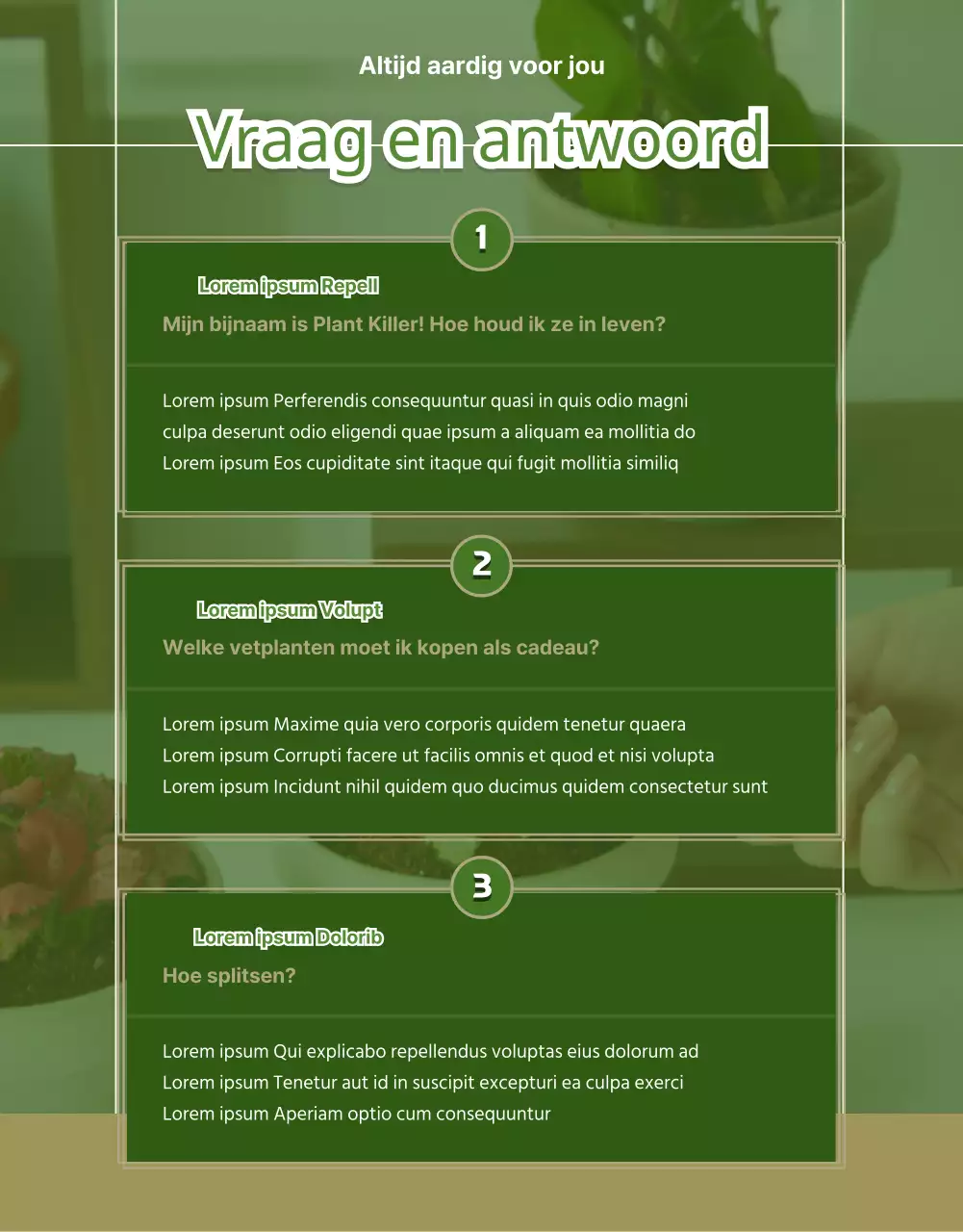 Vetplanten groen en beige detailpagina