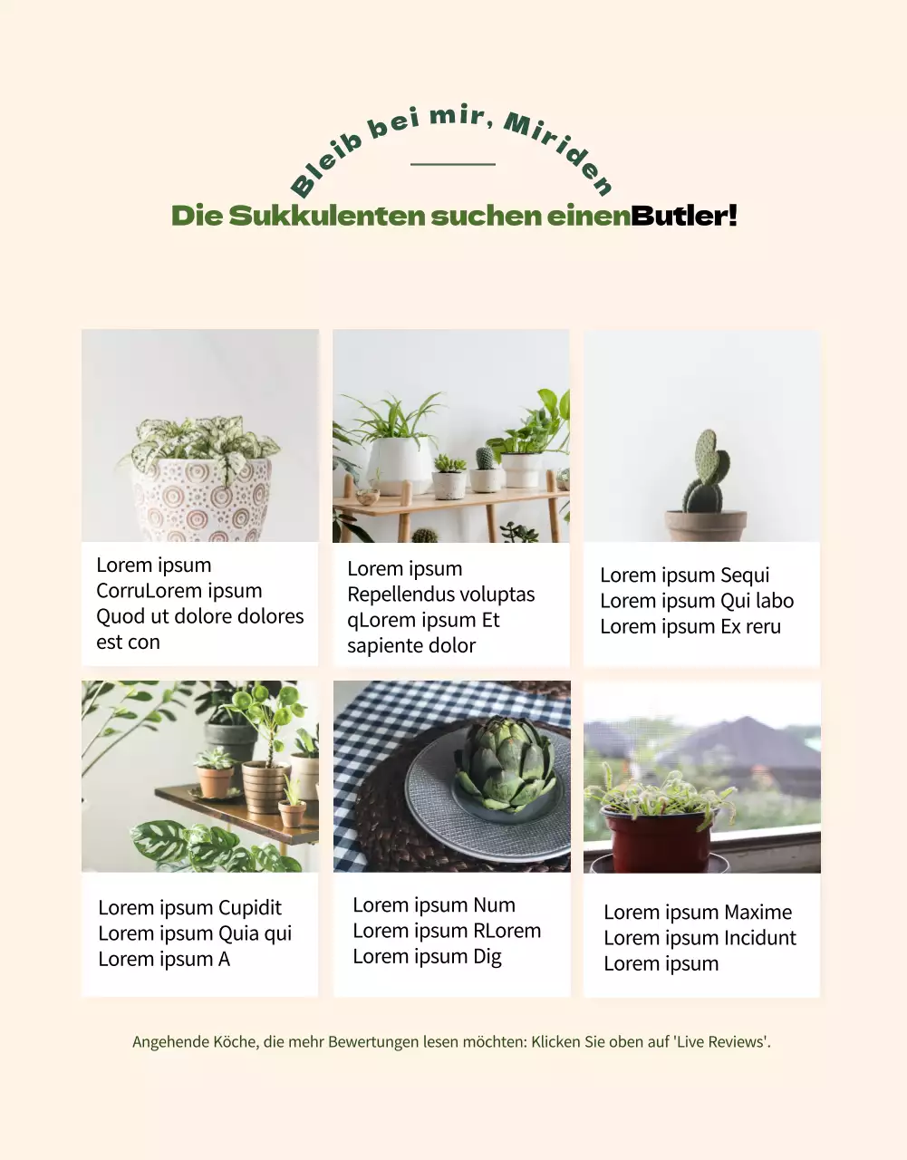 Ein Geschäft, das sich auf grüne und bezaubernde Sukkulenten spezialisiert hat (mehr)