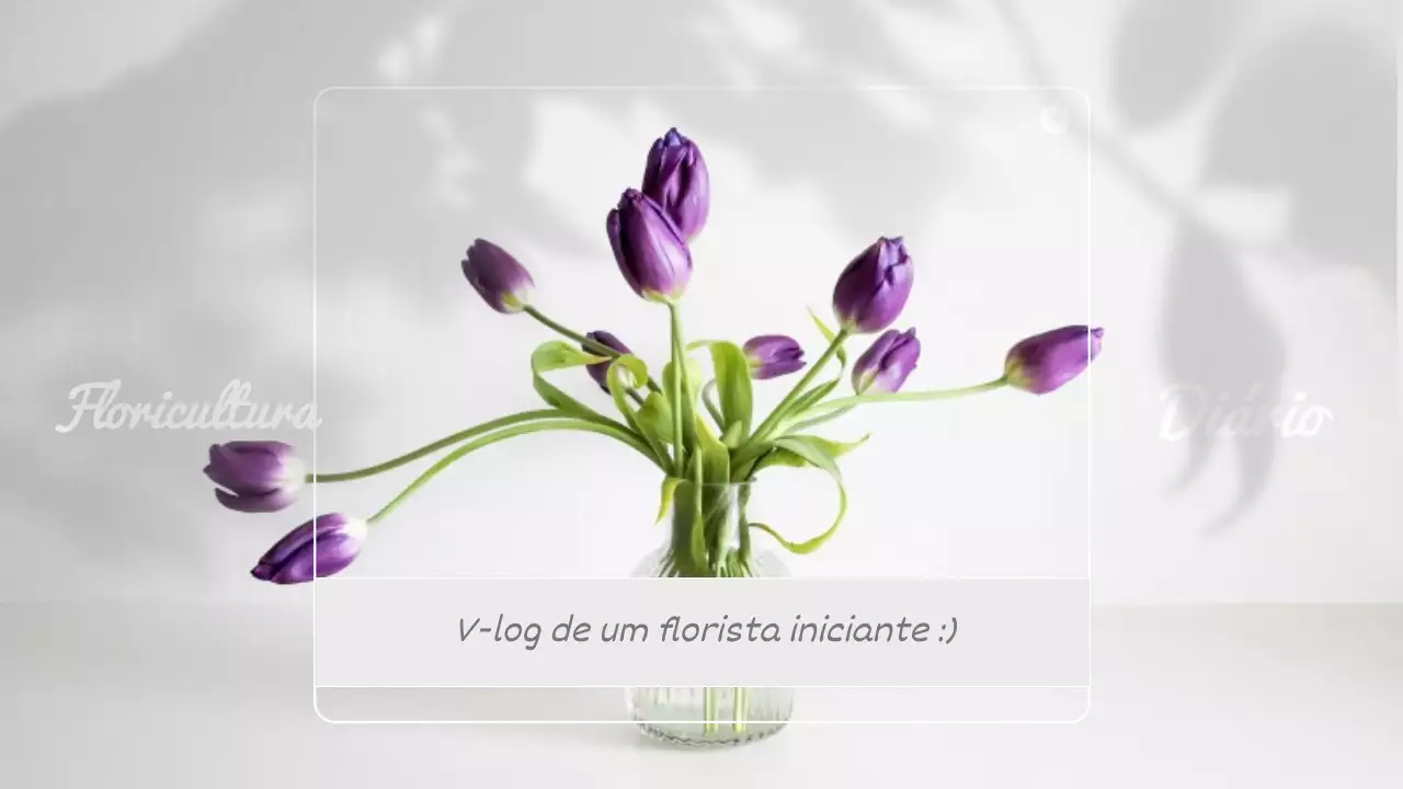 Canal de vlogs de floristas em cinzento e molduras para fotografias