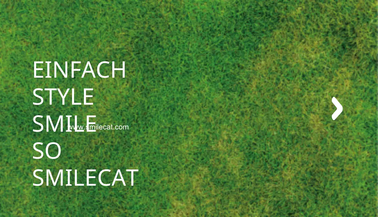Smilecat