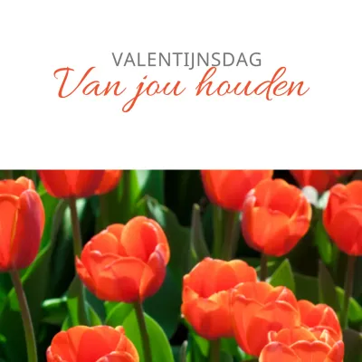 Valentijn01