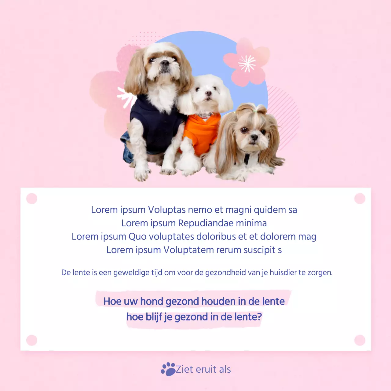Een gids voor de verzorging van je roze en lichtblauwe puppy