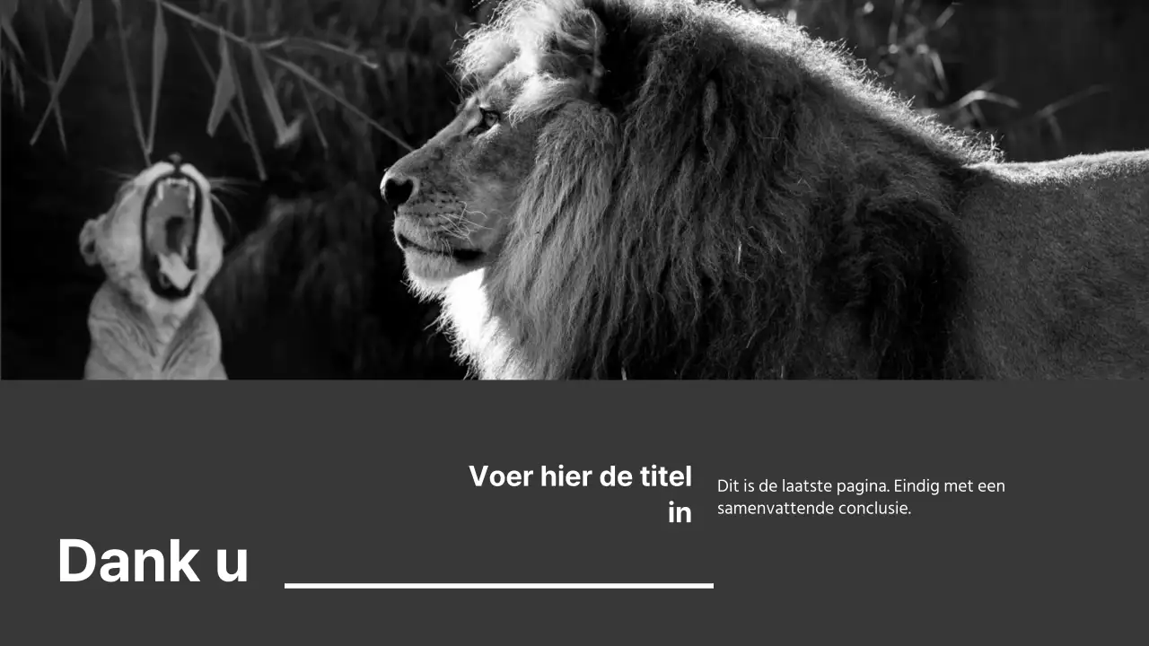 Zwart-wit presentaties