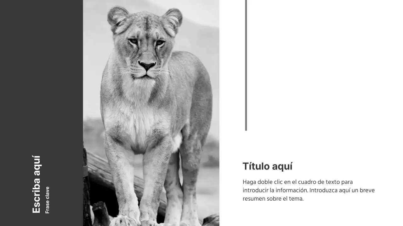 Presentaciones en blanco y negro