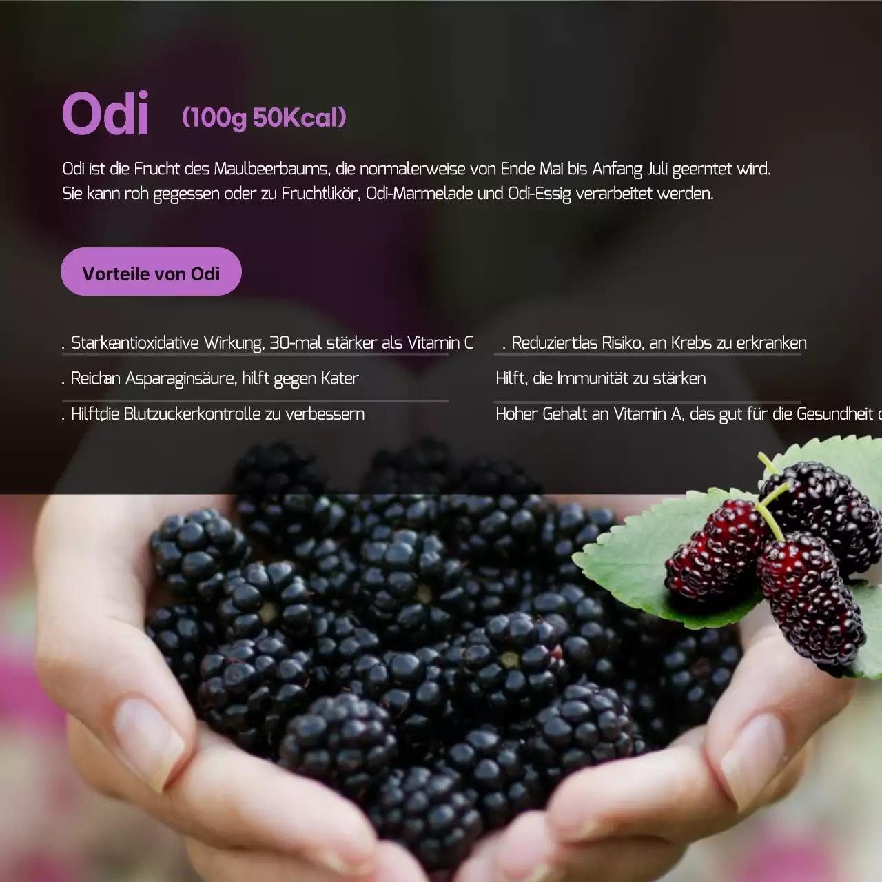 Obst und Gemüse der Saison im Mai CardNews Design in Gelb und Grün