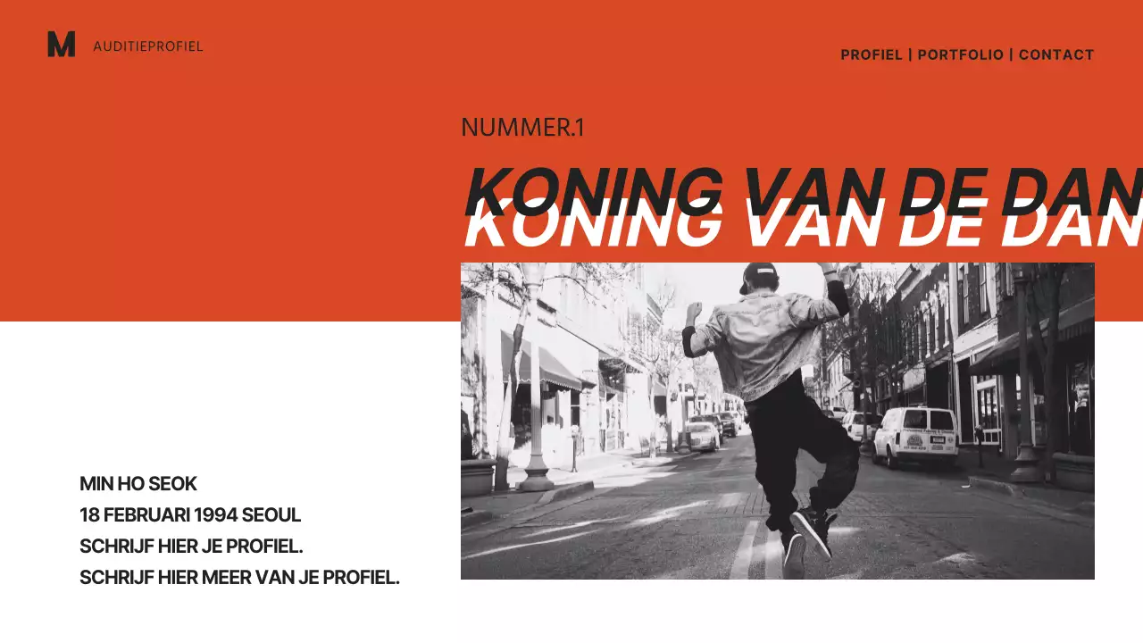 Entertainment portfolio