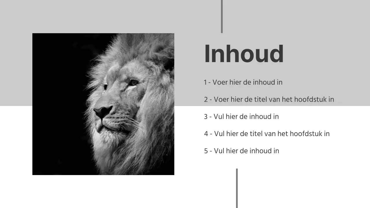 Zwart-wit presentaties