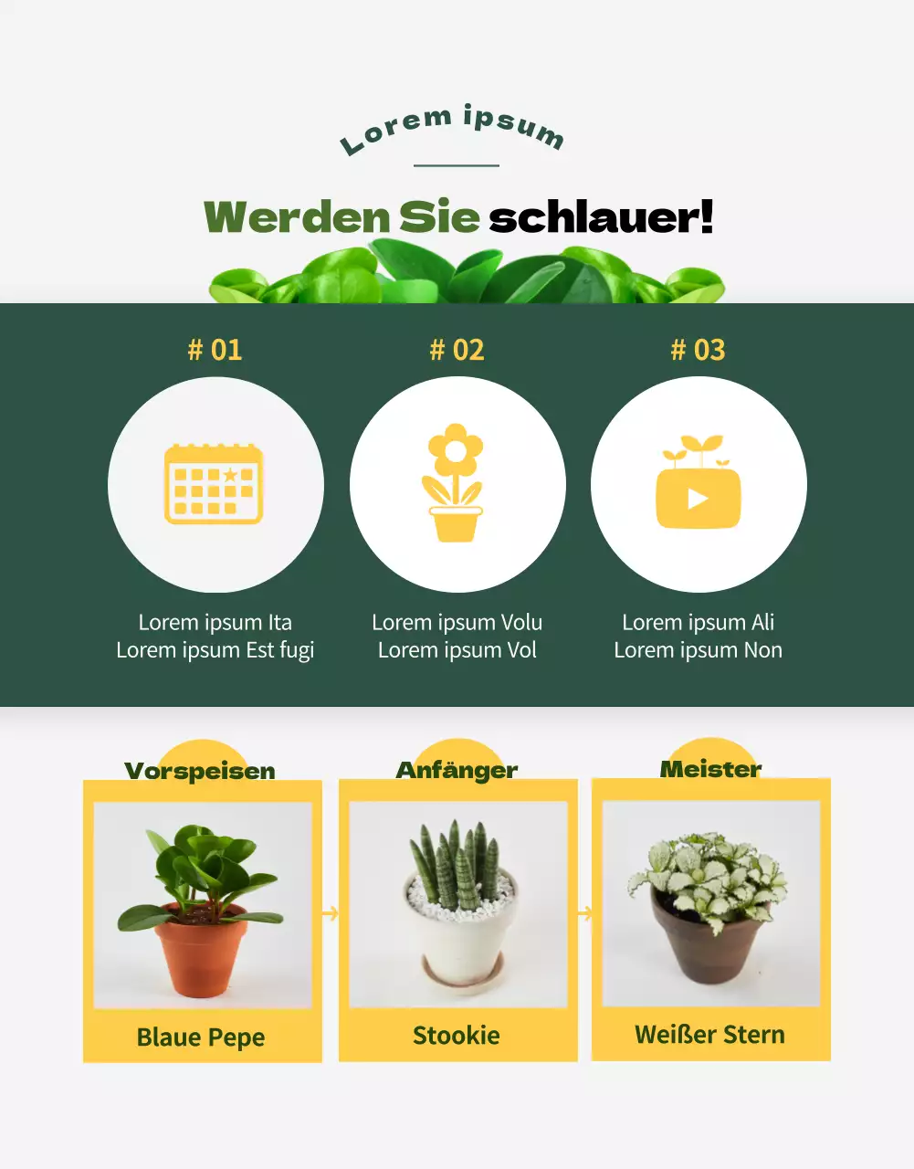 Ein Geschäft, das sich auf grüne und bezaubernde Sukkulenten spezialisiert hat (mehr)