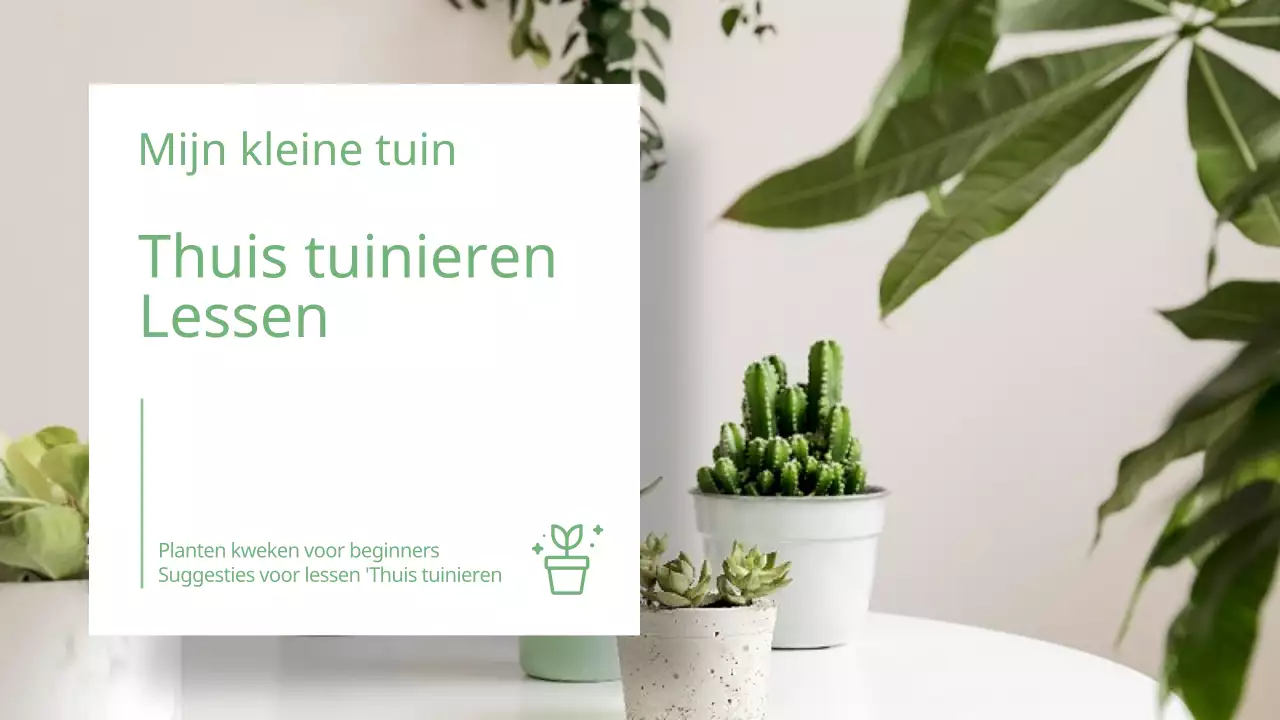 Olijfgroen, warm klassevoorstel (presentatie)