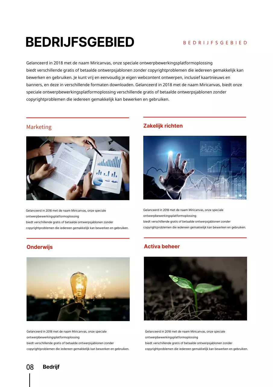 Sjabloon voor verticaal document met op rood en zwart geïnspireerd zakelijk profiel