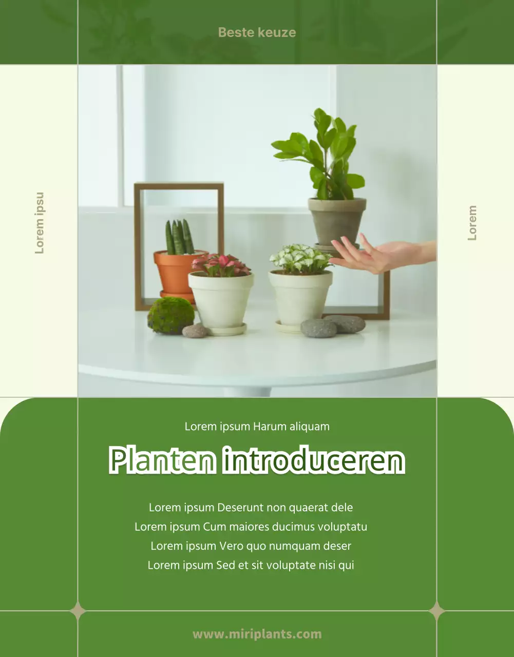 Vetplanten groen en beige detailpagina