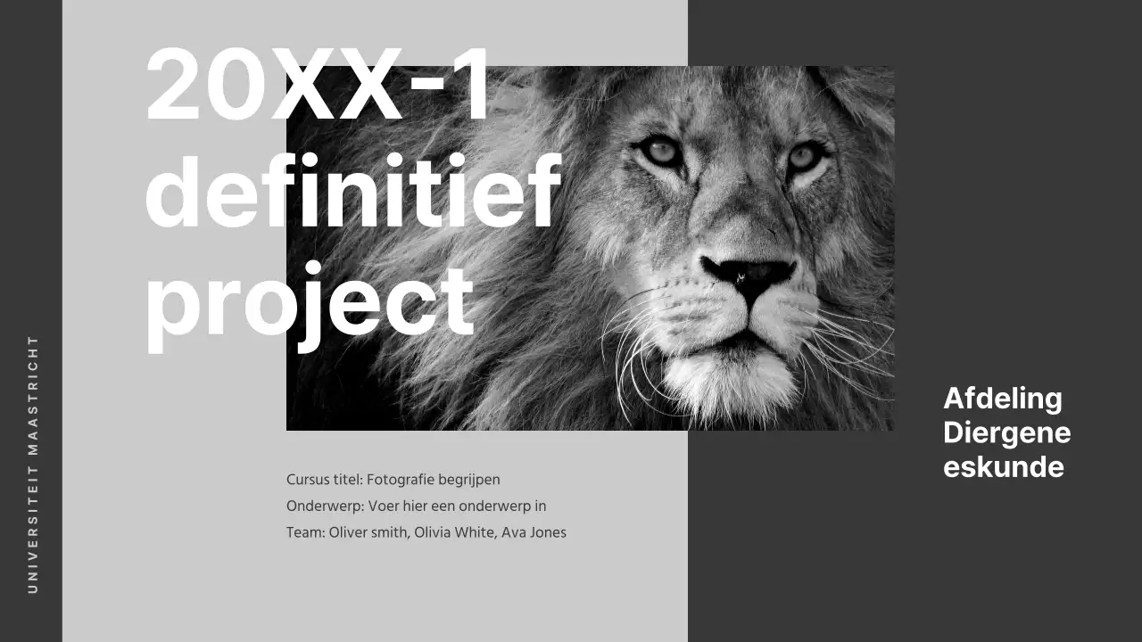 Zwart-wit presentaties