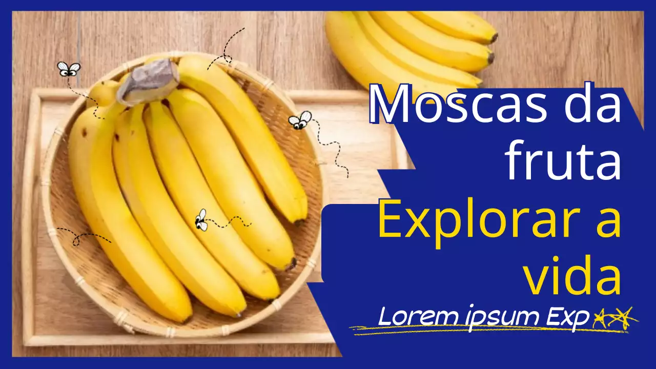Banana em azul e amarelo Foto Mosca da fruta Explorando a vida
