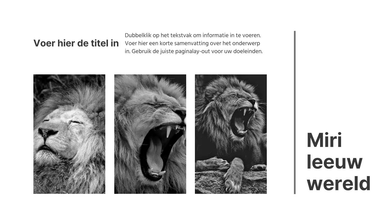 Zwart-wit presentaties