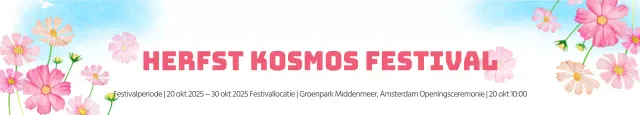 Kosmos Festival