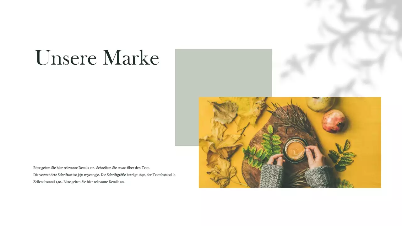 Präsentationen der Marke