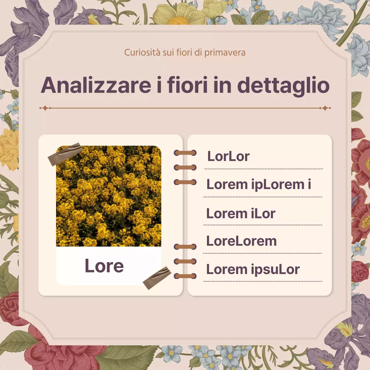 Concetto di fiore primaverile di fiore rosa vintage concetto completo