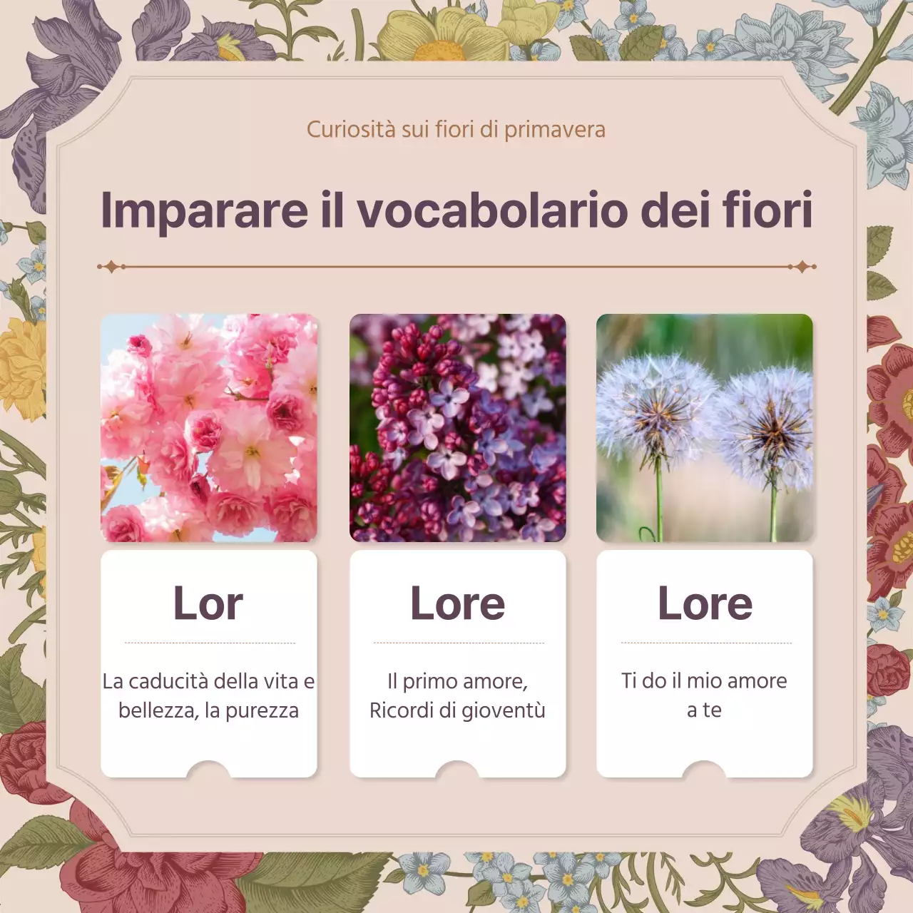 Concetto di fiore primaverile di fiore rosa vintage concetto completo